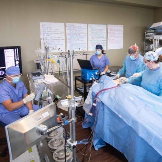 Health Sciences Center University